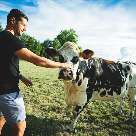 Hotel Moulin De Fourges
