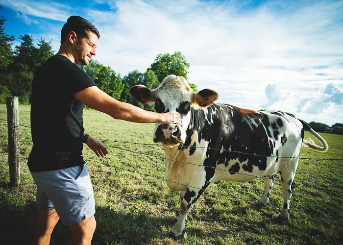 Hotel Moulin De Fourges